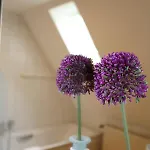 Appartementhotel Blomberger Hof Apartmanhotel