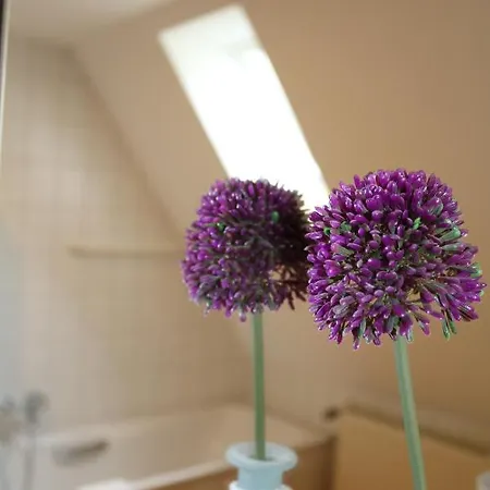 Appartementhotel Blomberger Hof 아파트호텔